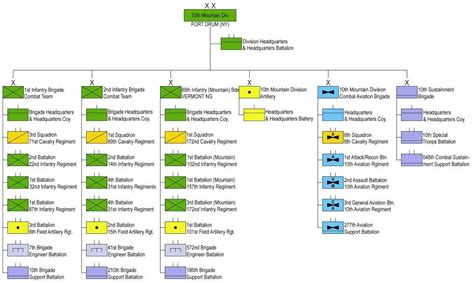 10th Mountain Division Structure