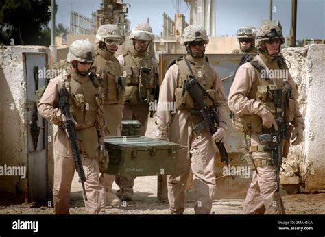 10th Marine Regiment in Iraq