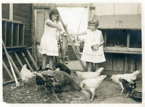 A 1960s chicken feed truck parked in a farmyard