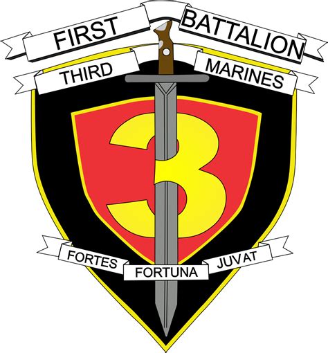 1st Battalion 3rd Marines Heroism 4