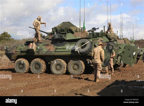 1st LAAR Battalion USMC Training Exercise