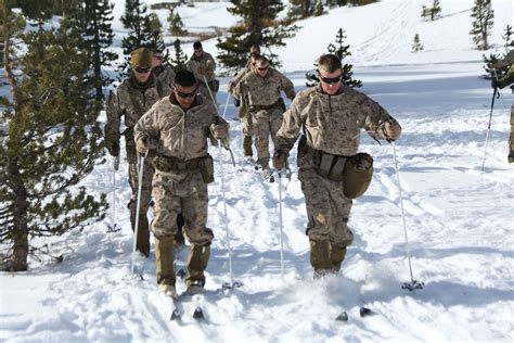 2nd Battalion 2nd Marines Training Exercises