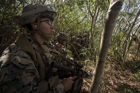 2nd Battalion 3rd Marines training