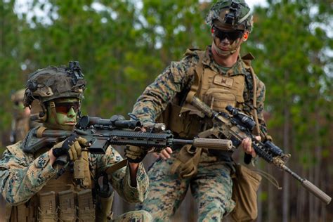 2nd Marines 3rd Battalion Training Exercises