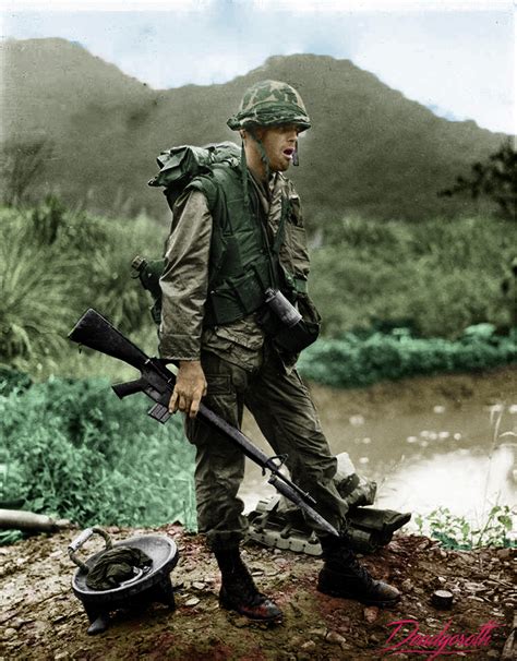 2nd Bn 7th Marines in Vietnam