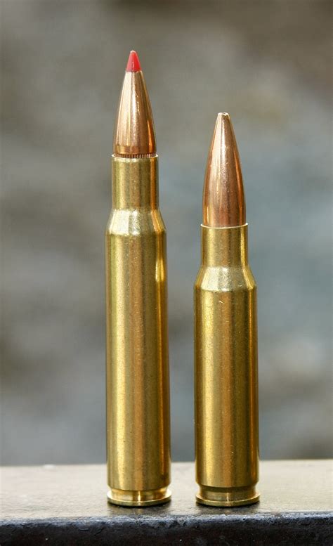 A diagram showing the penetration of the.308 Winchester