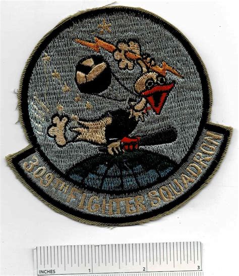 309th Fighter Squadron in World War II