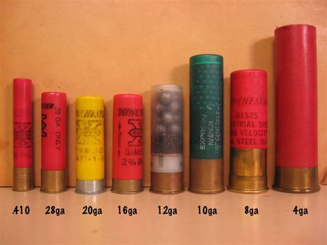 4 bore shotgun shell comparison