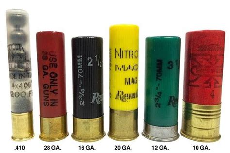 4 bore shotgun shell history