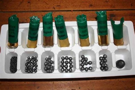 4 bore shotgun shell photos