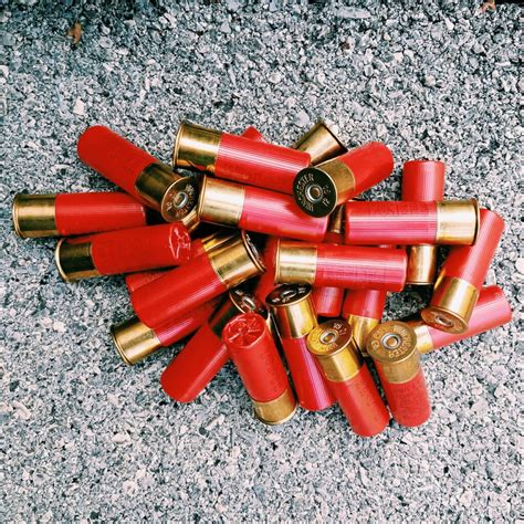 4 bore shotgun shell pictures