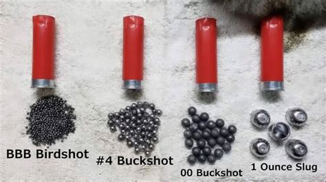 4 Gauge Shotgun Shell Military Applications