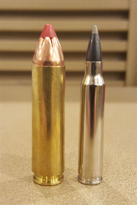 450 Bushmaster Ammunition