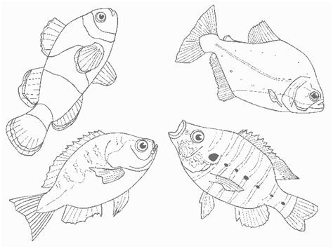 5 Free Coloring Pages to Get You Started