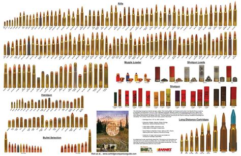 50 Caliber Bullet Ballistics