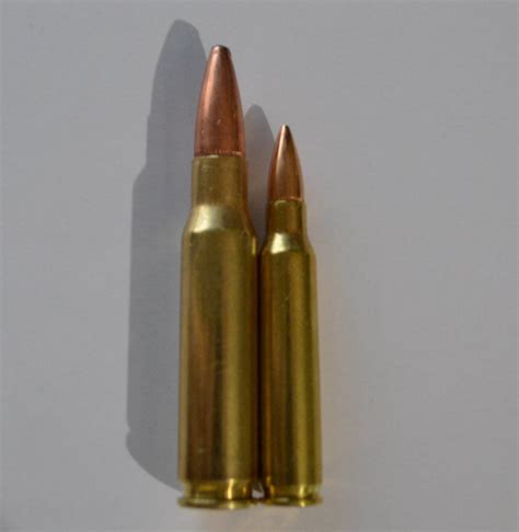 Comparison of 5.56mm and 7.62mm