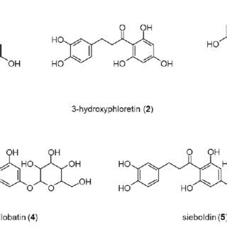 5S DHCS Calendar Structure