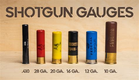 6 gauge shotgun uses