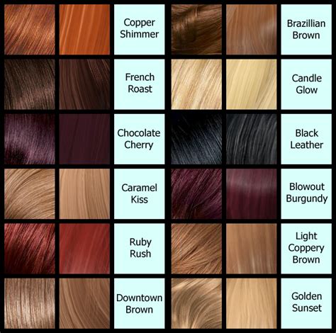 Hair Color Palettes