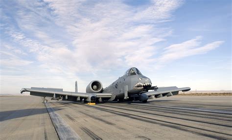 A10 Warthog Nose Art Example 2