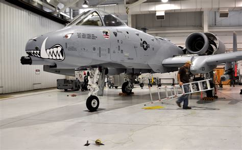 A10 Warthog Nose Art Example 3