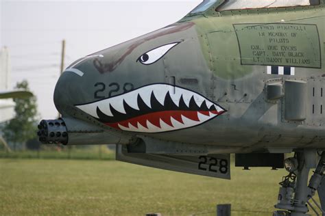 A10 Warthog Nose Art Example 4