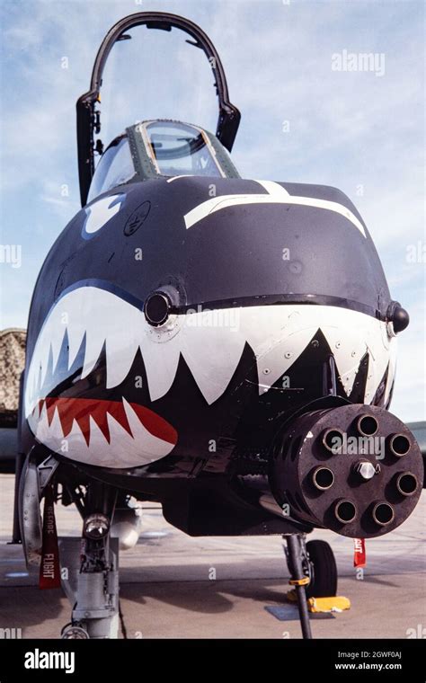 A10 Warthog Nose Art Example 8