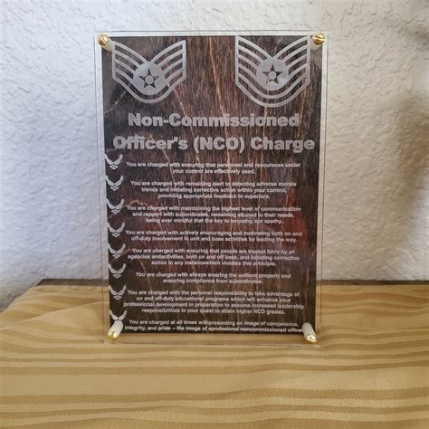 Air Force NCO Charge Image