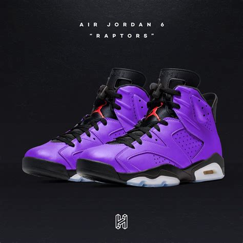 Air Jordan Raptors Gallery 6