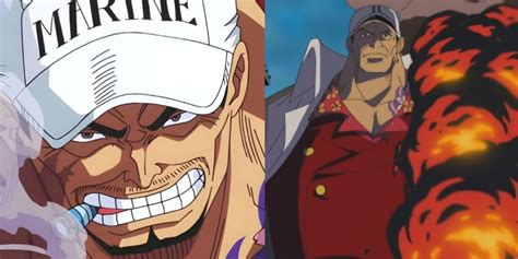 Akainu's Partner from One Piece