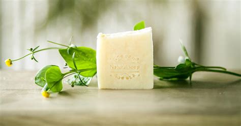 American Natural Valencia Soap Natural Ingredients