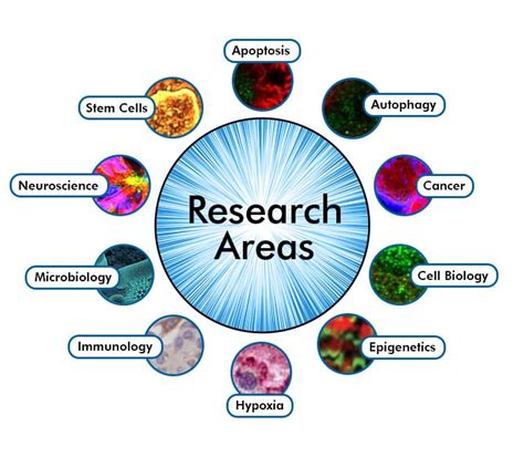 Applications and Research Areas of BYU FSL Supercomputer