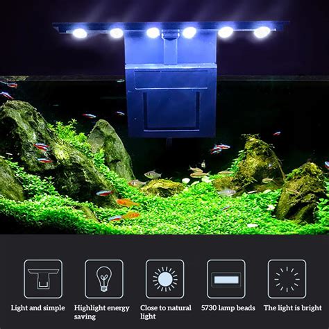 Aquatic Plant Lighting