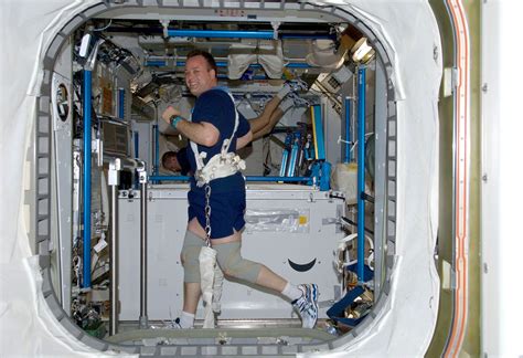 Astronaut Adaptive Materials