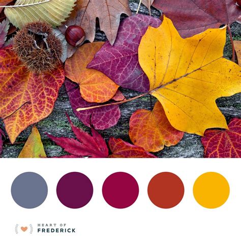 Autumn Color Combinations