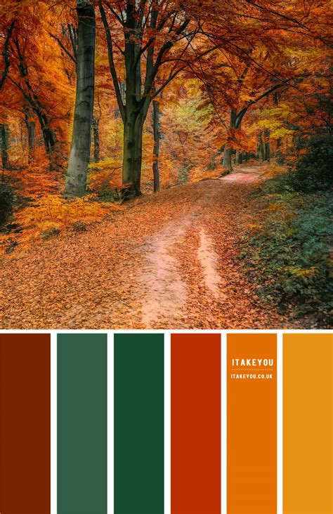 Autumn Color Palette