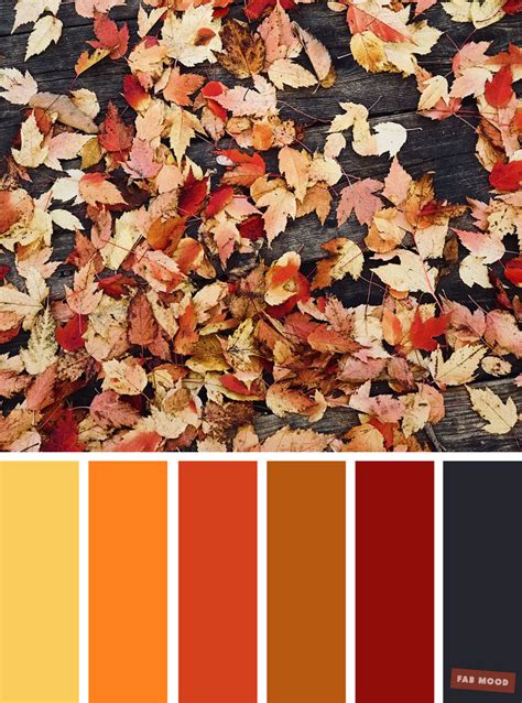 Autumn Colours Inspiration