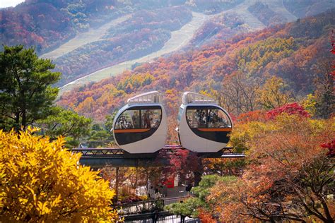 Autumn in Gwangju