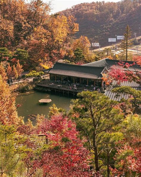 Autumn Foliage in Gwangju