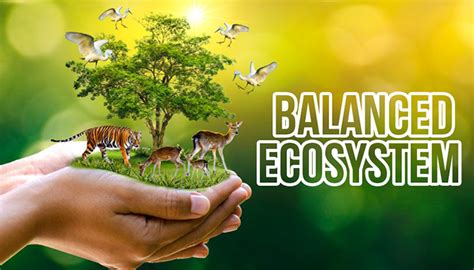 Balanced Ecosystem Tips