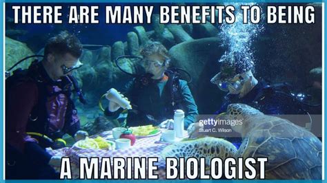 Benefits of Being a Marine Pictures