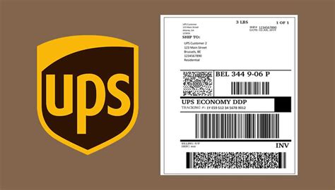 Best Practices for Printable UPS Label Templates