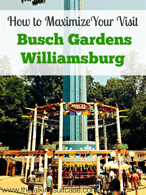 Best Times to Visit Busch Gardens