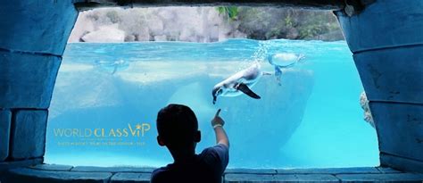 Best Times to Visit SeaWorld