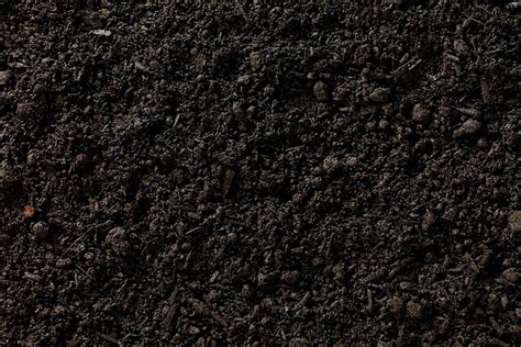 Brazilian brown soil