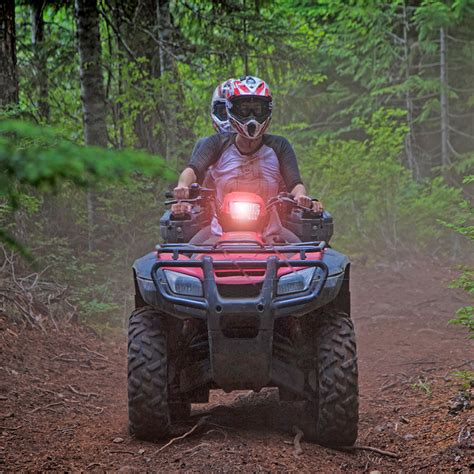 Bushwhacker ATV Forest Riding