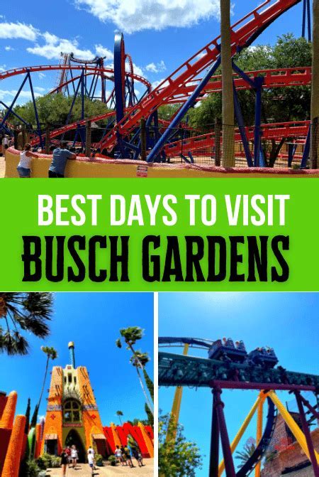 Busiest Days at Busch Gardens