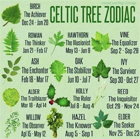 Celtic Calendar Astrology