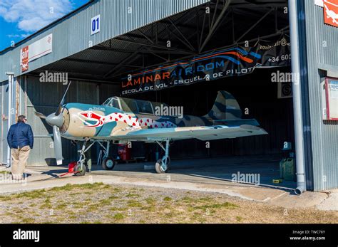 Chechen Aerobatic Team Yak-52 Aircraft