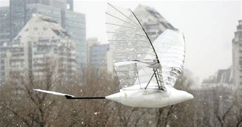 China Bird Drone in action